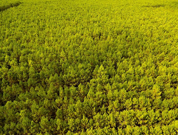 Agriculture et exploitations rurales