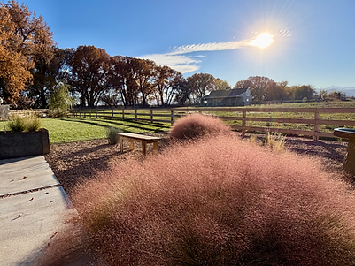 FullSizeRender 2.heic