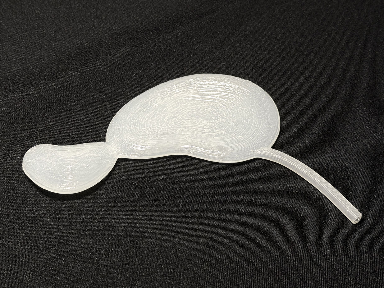 Infant Stomach Pouch Model