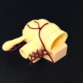 Surgical Training Simulators