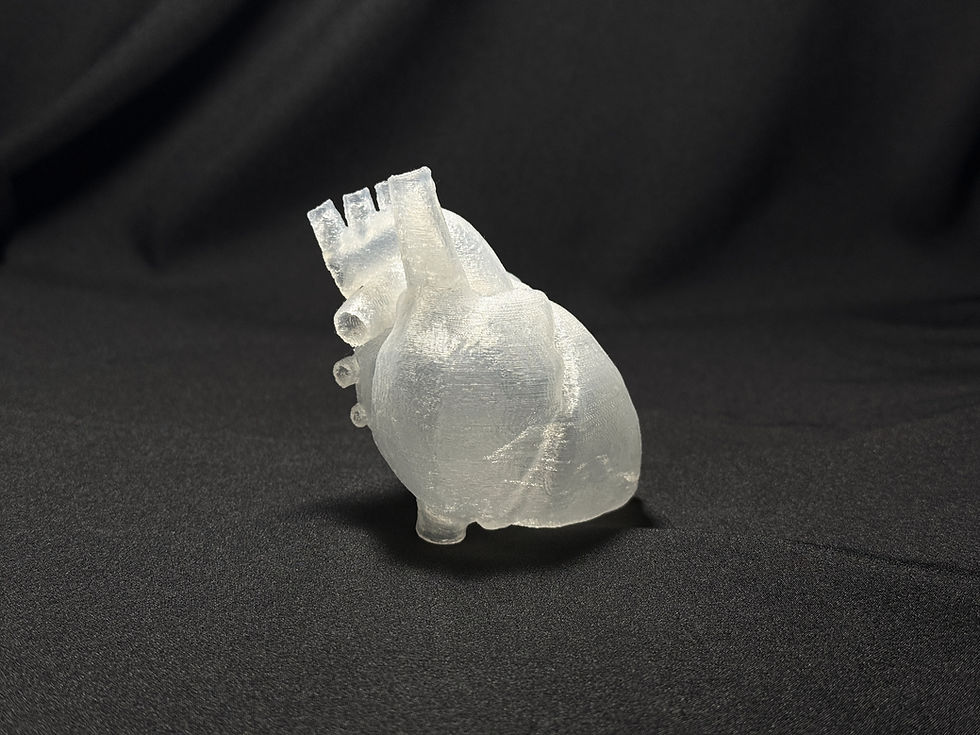 推動醫療訓練與研究的矽膠3D列印：利用水溶性支撐材料打造高精度心臟模型