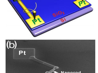 Origin of p-type conductivity of Sbdoped ZnO nanorods and the local structure around Sb ions