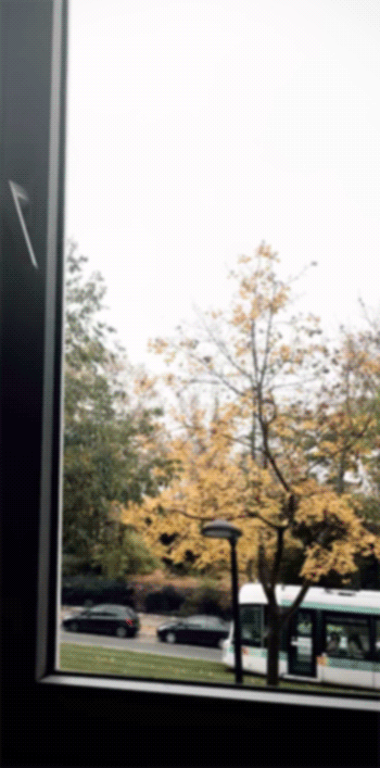 Untitled-1001.gif