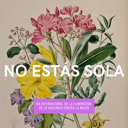 No estás sola