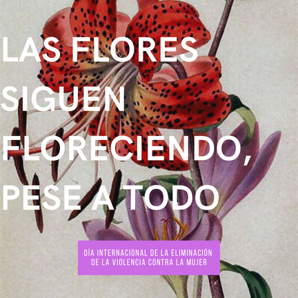 Día Internacional de la Eliminación de la Violencia Contra la Mujer.