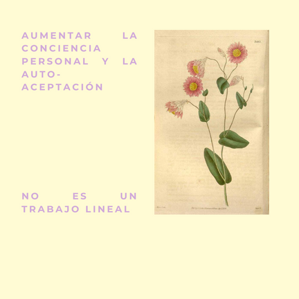 Conciencia personal + Auto aceptación