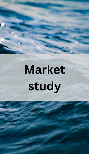 market study.png