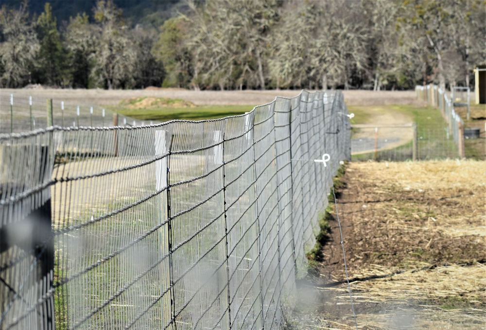 Can Touching An Electric Fence Kill You