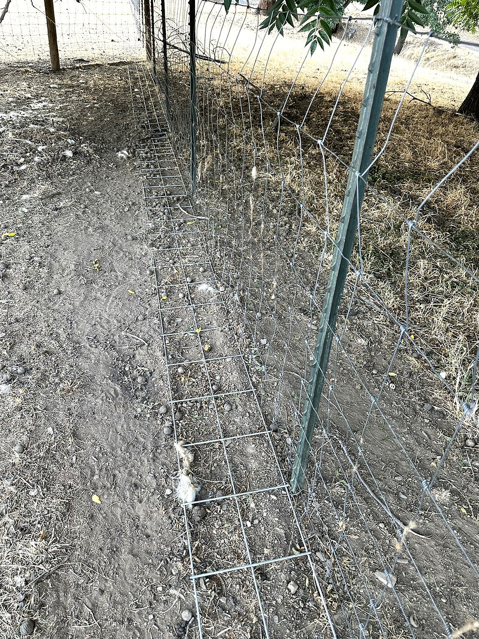 This fence is difficult to dig under - no electricity required!