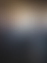 Training Six-Week-Old Puppies – Novel Situations 