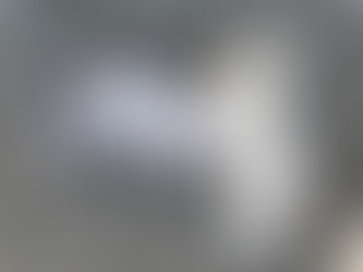 Novel Stimulus & Pavlov’s Dog