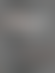 Reajuste e Revisão de Aluguel: O Que o Inquilino e o Proprietário Precisam Saber