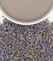 Cup_Shots_French_Super_Blue_Lavender_1200x.webp