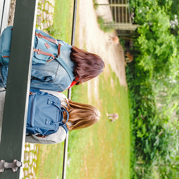 Students at the Park_edited.jpg