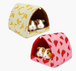 Two guinea pigs in banana and watermelon pattern hideout houses.