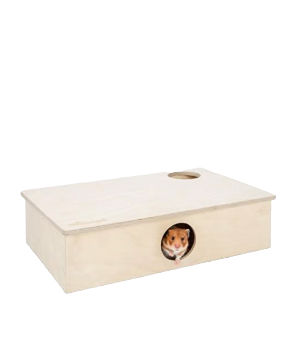Small hamster looking out from a wooden hideout box.