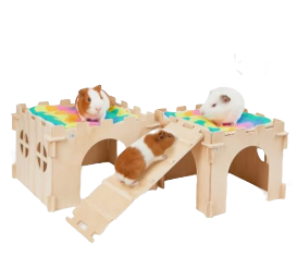 Three guinea pigs on a wooden castle guinea pig enclosure