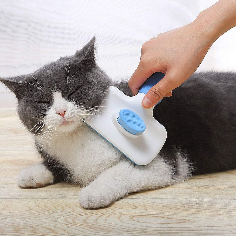 Miniature : Atlamia Self Cleaning Slicker Brush,Dog Brush & Cat Brush with Massage Particle