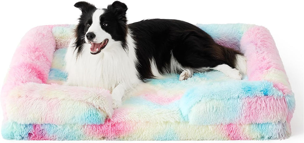 Miniature : Bedsure Orthopedic Dog Bed for Medium Dogs - Waterproof Dog Sofa Beds Medium, S