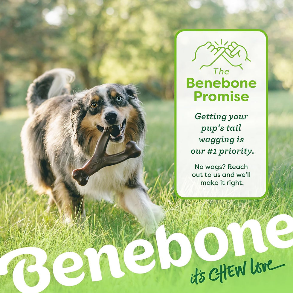 Miniature : Benebone Wishbone Durable Dog Chew Toy for Aggressive Chewers, Real Bacon, Made