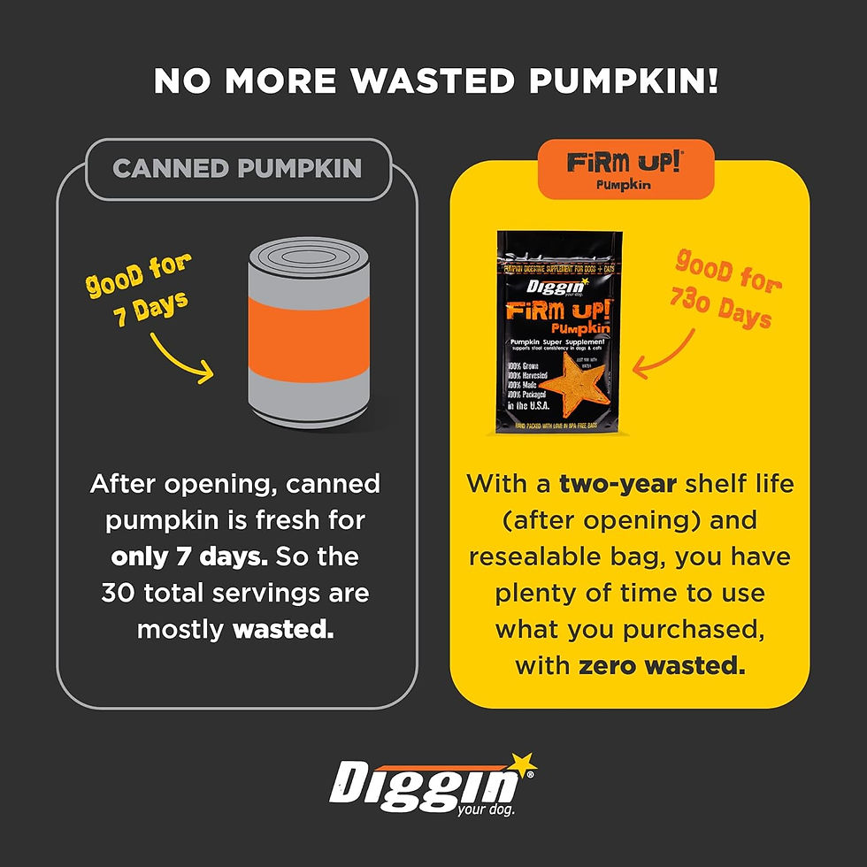 Miniatura: Diggin' Your Dog Firm Up Pumpkin for Dogs & Cats, 100% Made in USA, Pumpkin Pow