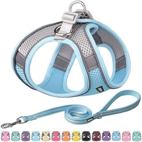Miniature : AIITLE No Pull Dog Harness and Leash Set, Step in Adjustable Dog Harness with P