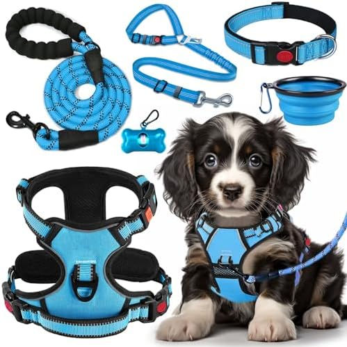 Thumbnail: No Pull Dog Harness, Collar & Leash Set | Includes Dog Seat Belt, Collapsible B