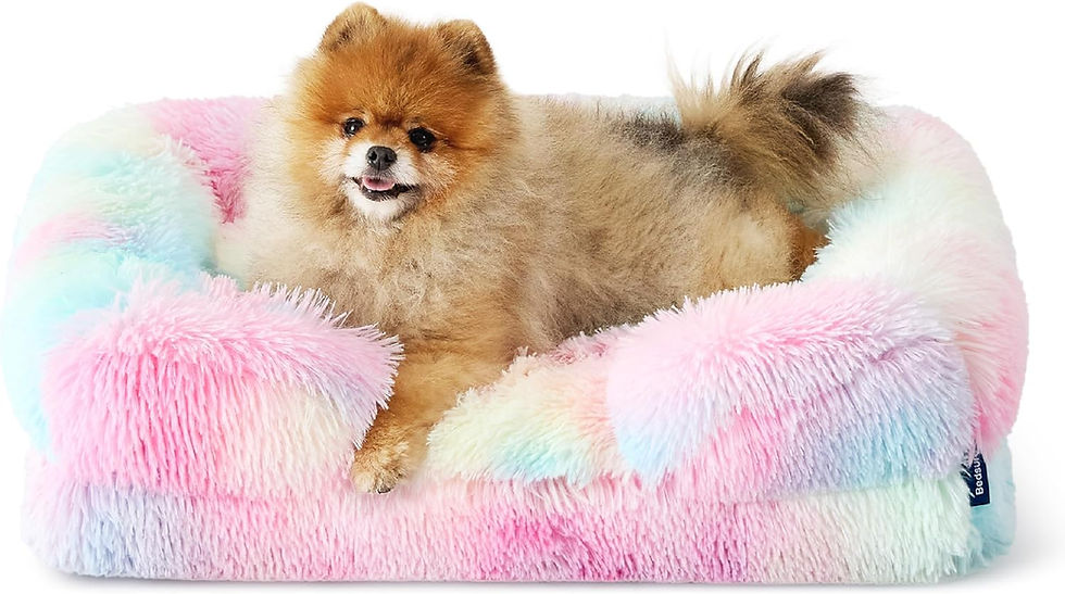 Miniature : Bedsure Orthopedic Dog Bed for Medium Dogs - Waterproof Dog Sofa Beds Medium, S