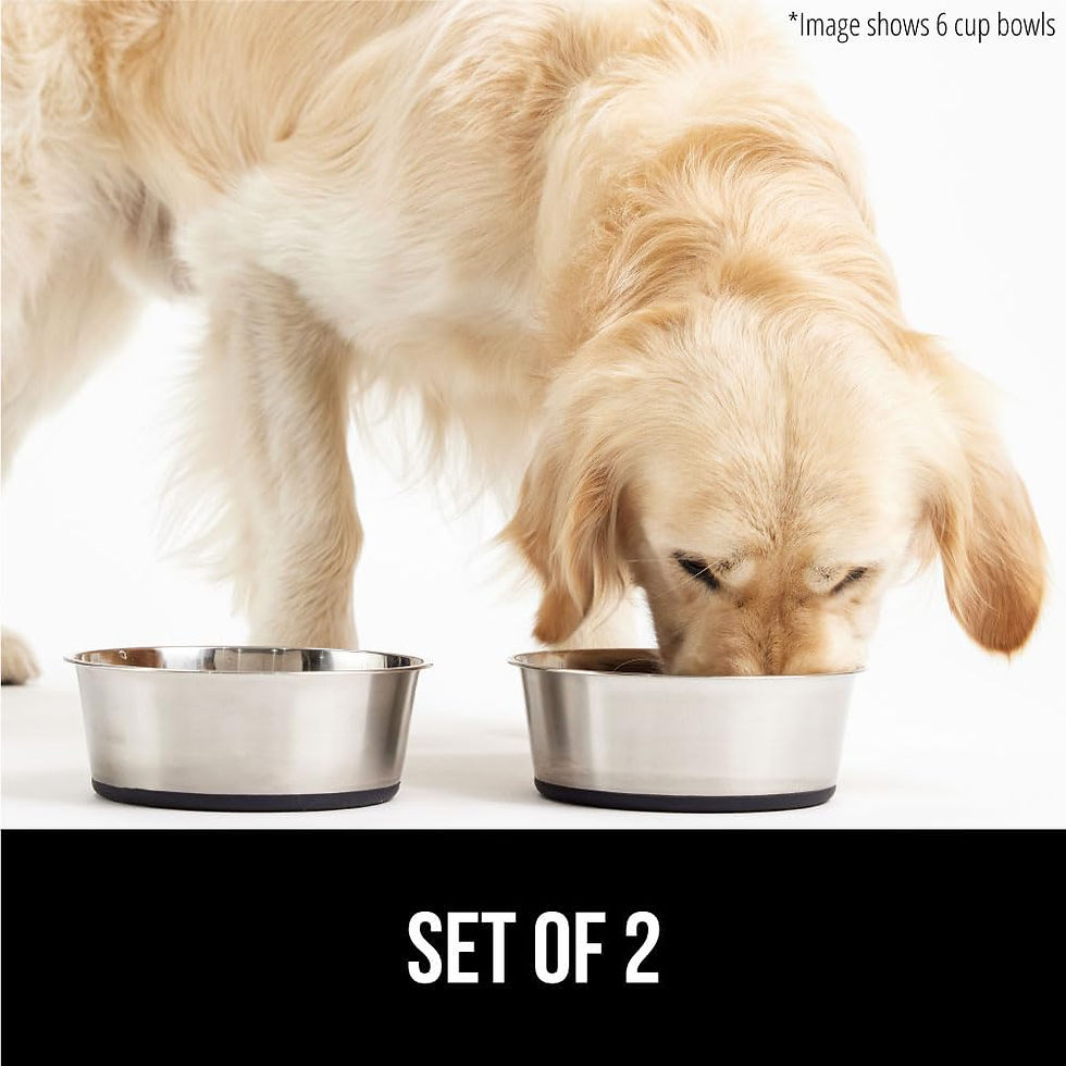 Miniature : Gorilla Grip Stainless Steel Metal Dog Bowl Set of 2, Rubber Base, Heavy Duty, 