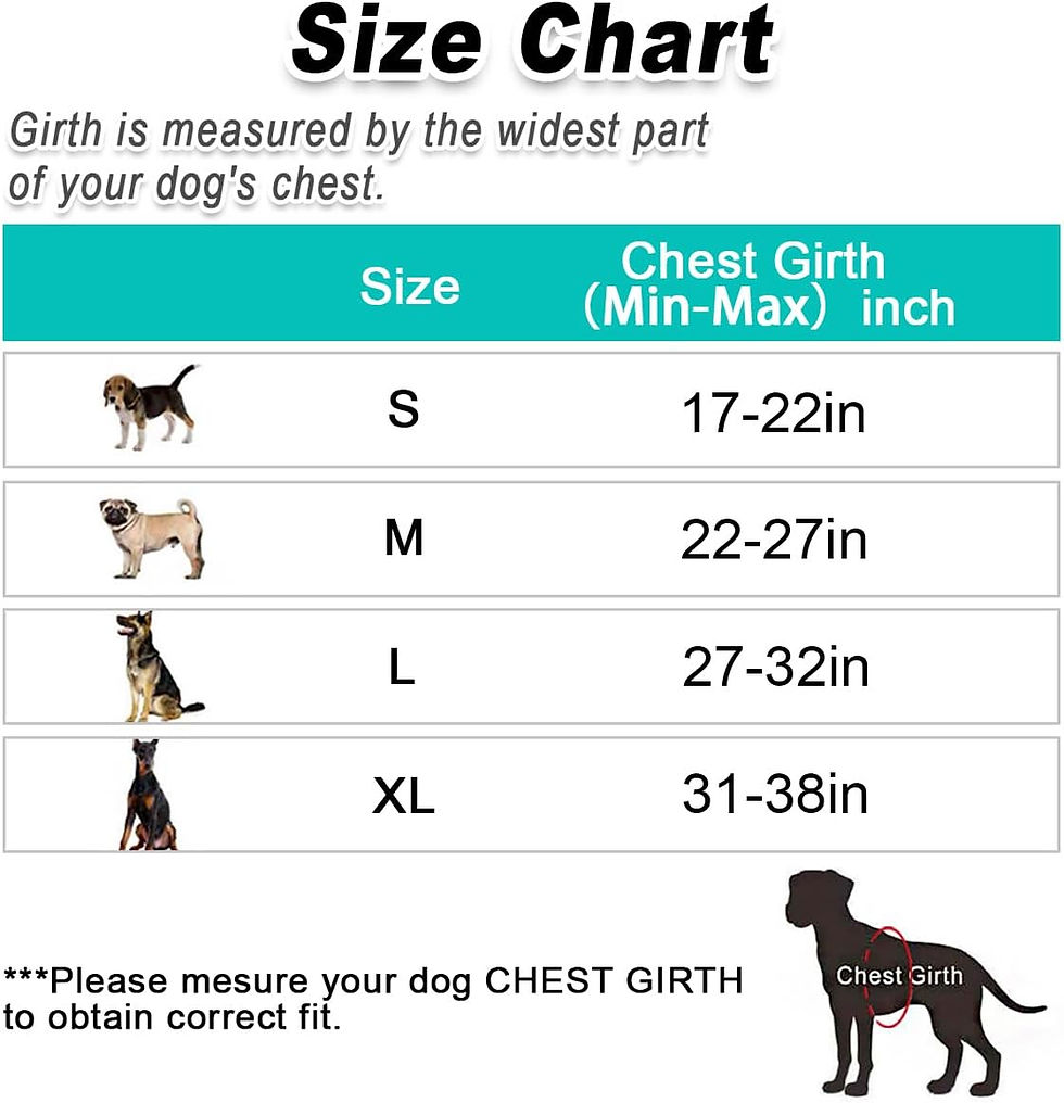 Miniatura: BARKBAY No Pull Pet Harness Dog Harness Adjustable Outdoor Pet Vest 3M Reflecti