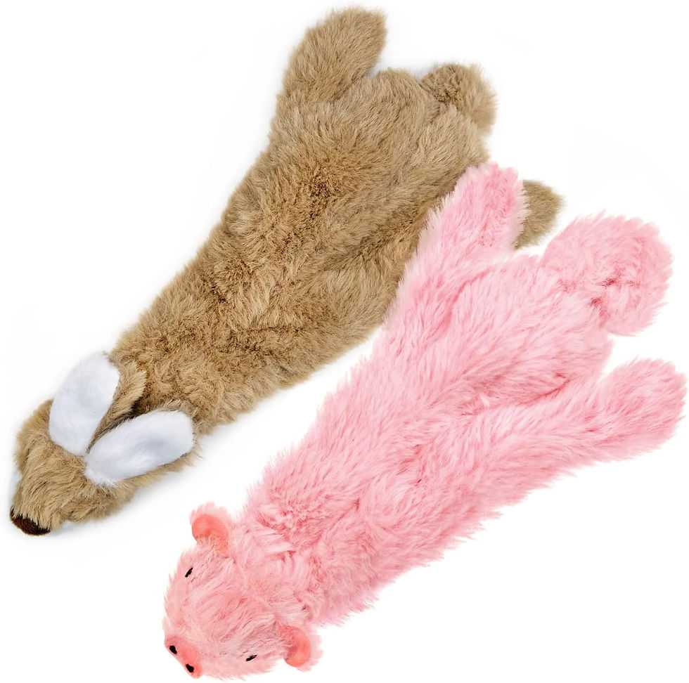 Thumbnail: Best Pet Supplies 2-in-1 Stuffless Squeaky Dog Toys with Soft, Durable Fabric f