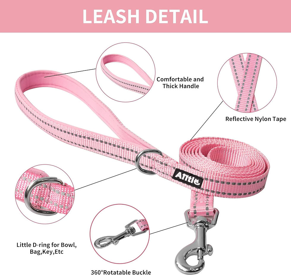 Miniatura: AIITLE No Pull Dog Harness and Leash Set, Step in Adjustable Dog Harness with P