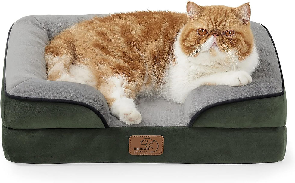 Miniature : Bedsure Orthopedic Dog Bed for Medium Dogs - Waterproof Dog Sofa Beds Medium, S