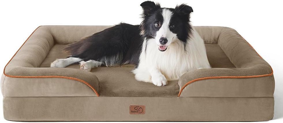 Miniature : Bedsure Orthopedic Dog Bed for Medium Dogs - Waterproof Dog Sofa Beds Medium, S