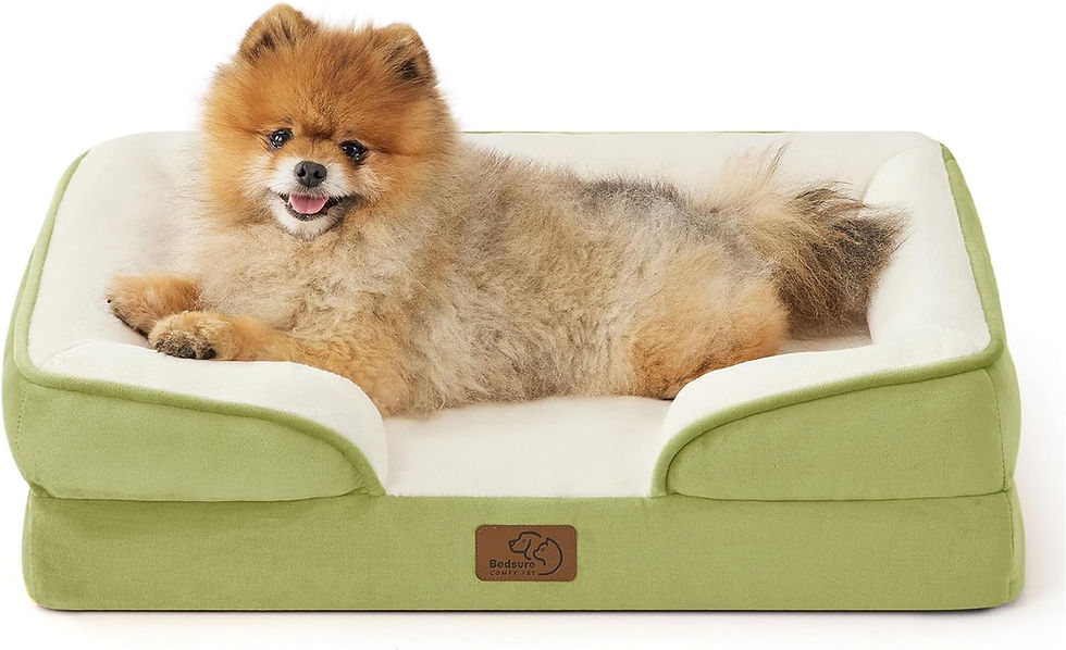 Miniature : Bedsure Orthopedic Dog Bed for Medium Dogs - Waterproof Dog Sofa Beds Medium, S