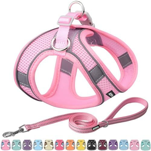 Miniatura: AIITLE No Pull Dog Harness and Leash Set, Step in Adjustable Dog Harness with P
