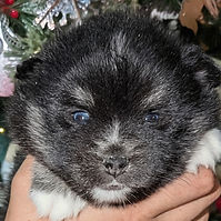 Chai week 4_edited.jpg