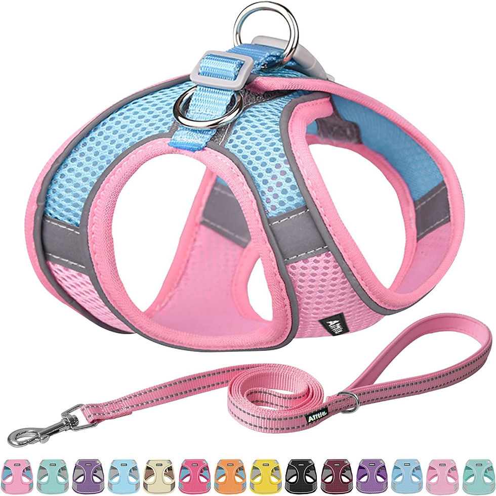 Miniatura: AIITLE No Pull Dog Harness and Leash Set, Step in Adjustable Dog Harness with P