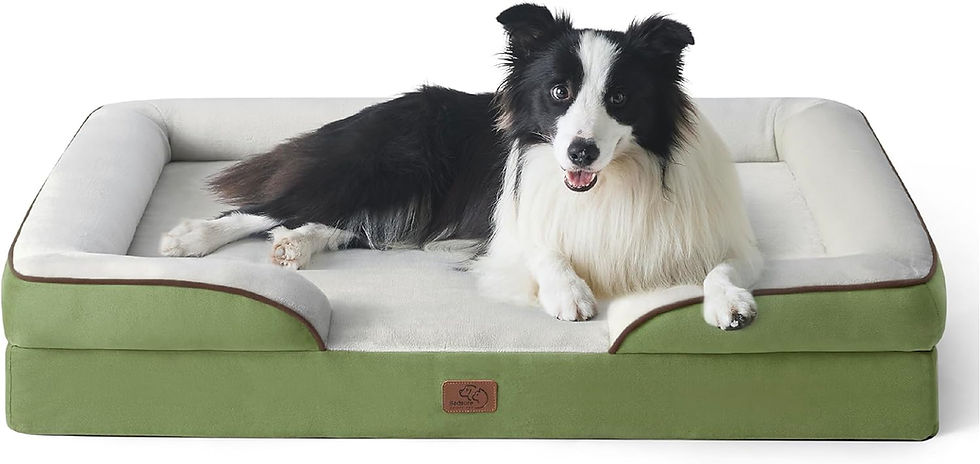 Miniature : Bedsure Orthopedic Dog Bed for Medium Dogs - Waterproof Dog Sofa Beds Medium, S