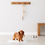 Thumbnail: Amazon Basics Dog and Puppy Pee Pads with Leak-Proof Quick-Dry Design for Potty