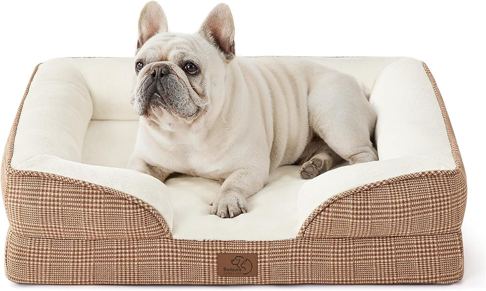 Miniature : Bedsure Orthopedic Dog Bed for Medium Dogs - Waterproof Dog Sofa Beds Medium, S
