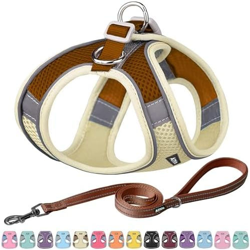 Miniatura: AIITLE No Pull Dog Harness and Leash Set, Step in Adjustable Dog Harness with P