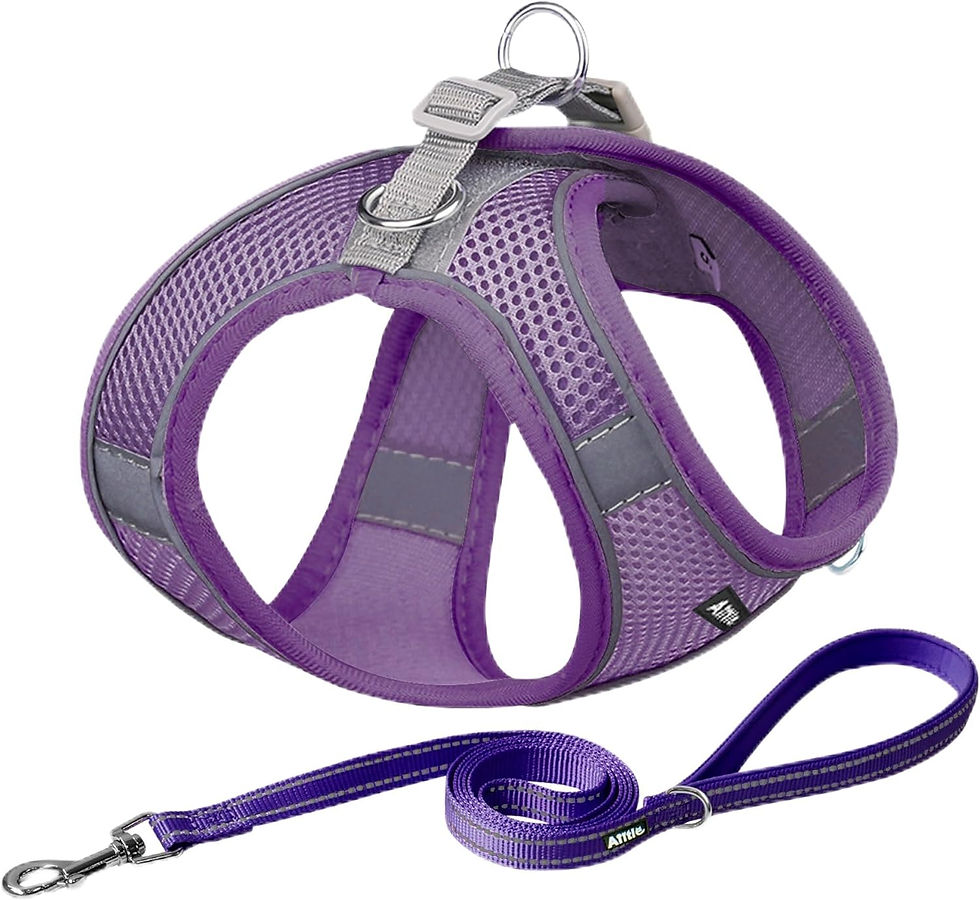 Thumbnail: AIITLE No Pull Dog Harness and Leash Set, Step in Adjustable Dog Harness with P