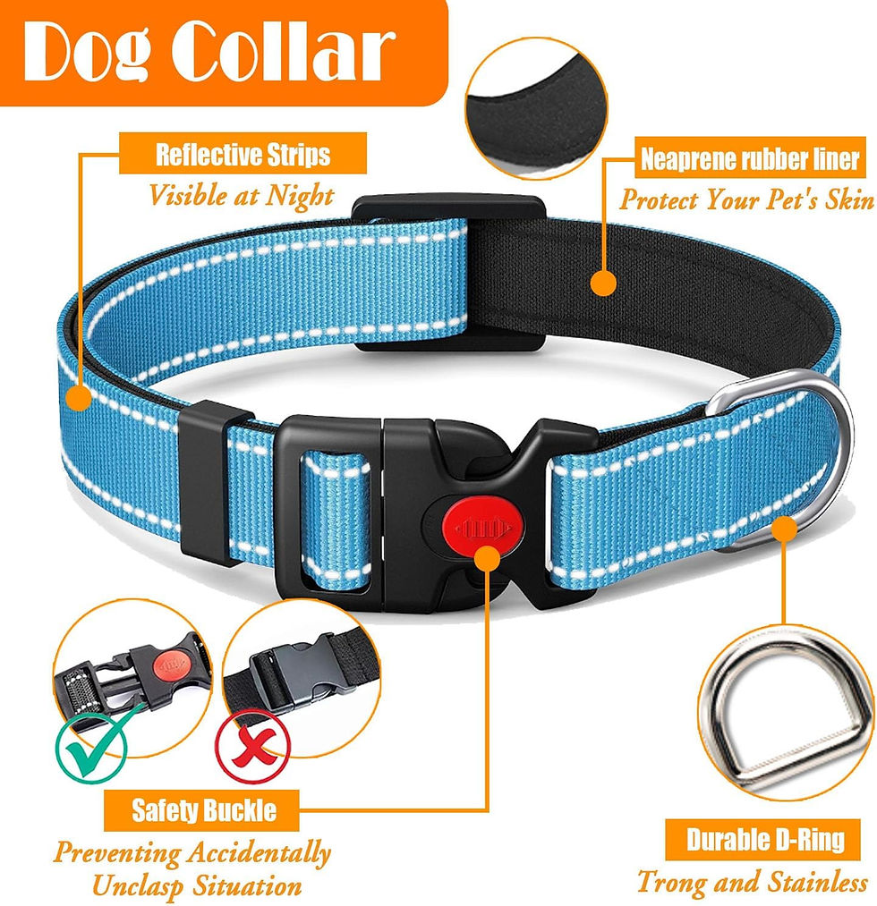 Miniatura: No Pull Dog Harness, Collar & Leash Set | Includes Dog Seat Belt, Collapsible B