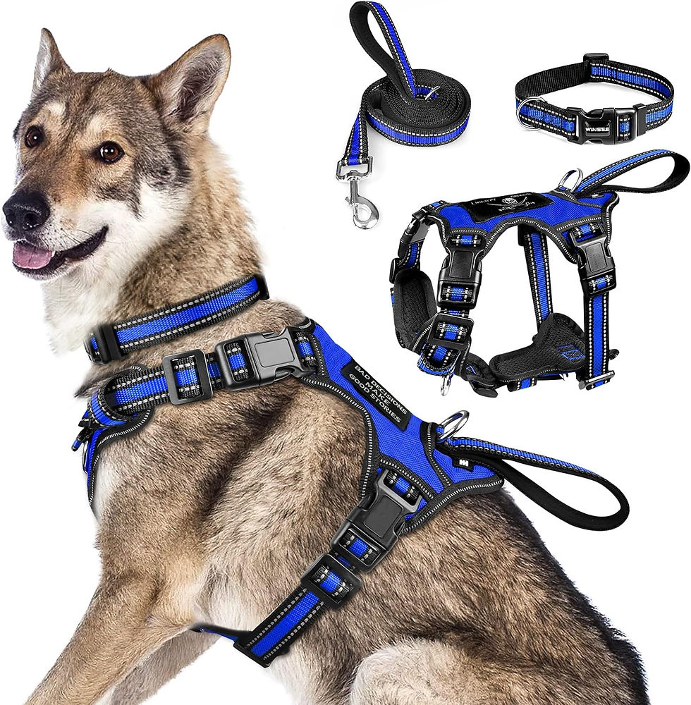 Miniatura: WINSEE Pet Harness Collar and Leash Set, All-in-one Reflective Dog Harness No P