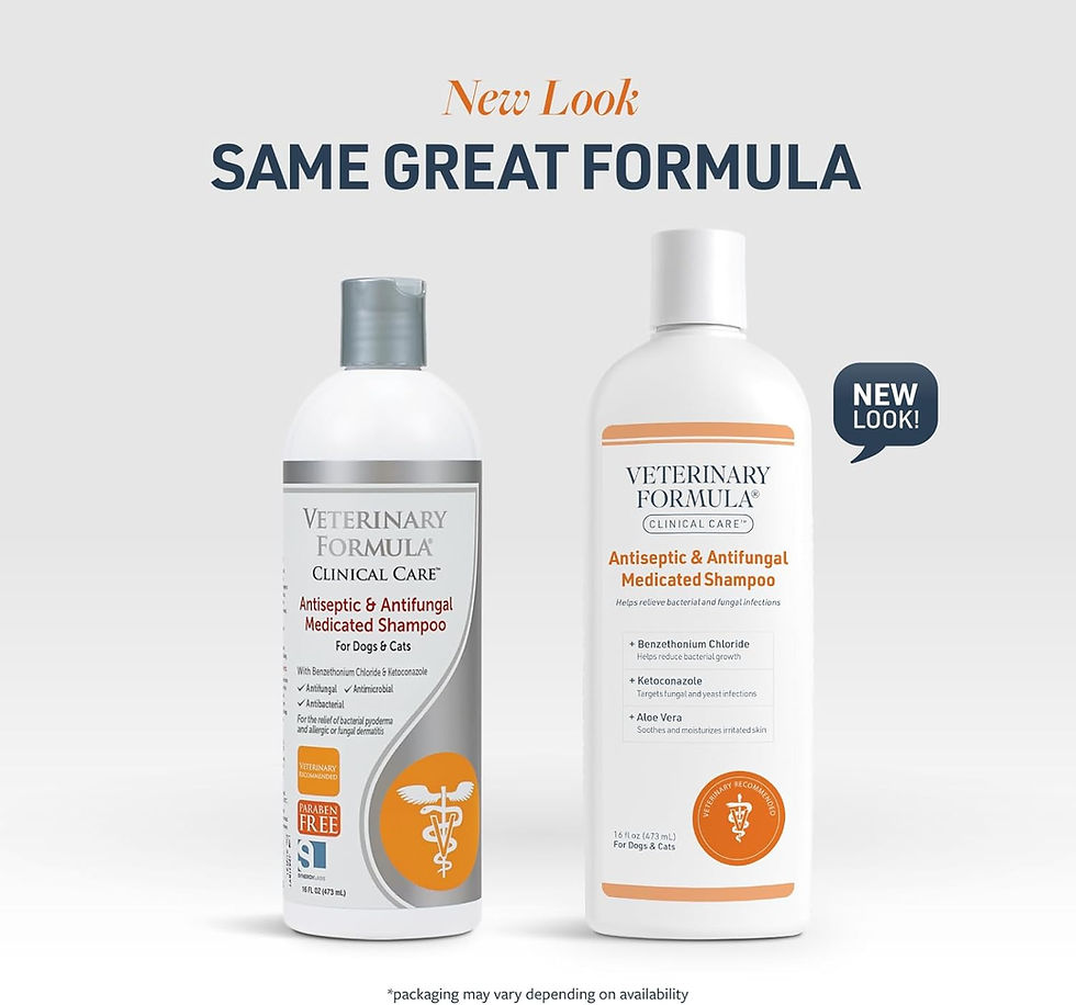 Thumbnail: Veterinary Formula Clinical Care Antiseptic and Antifungal Medicated Shampoo fo