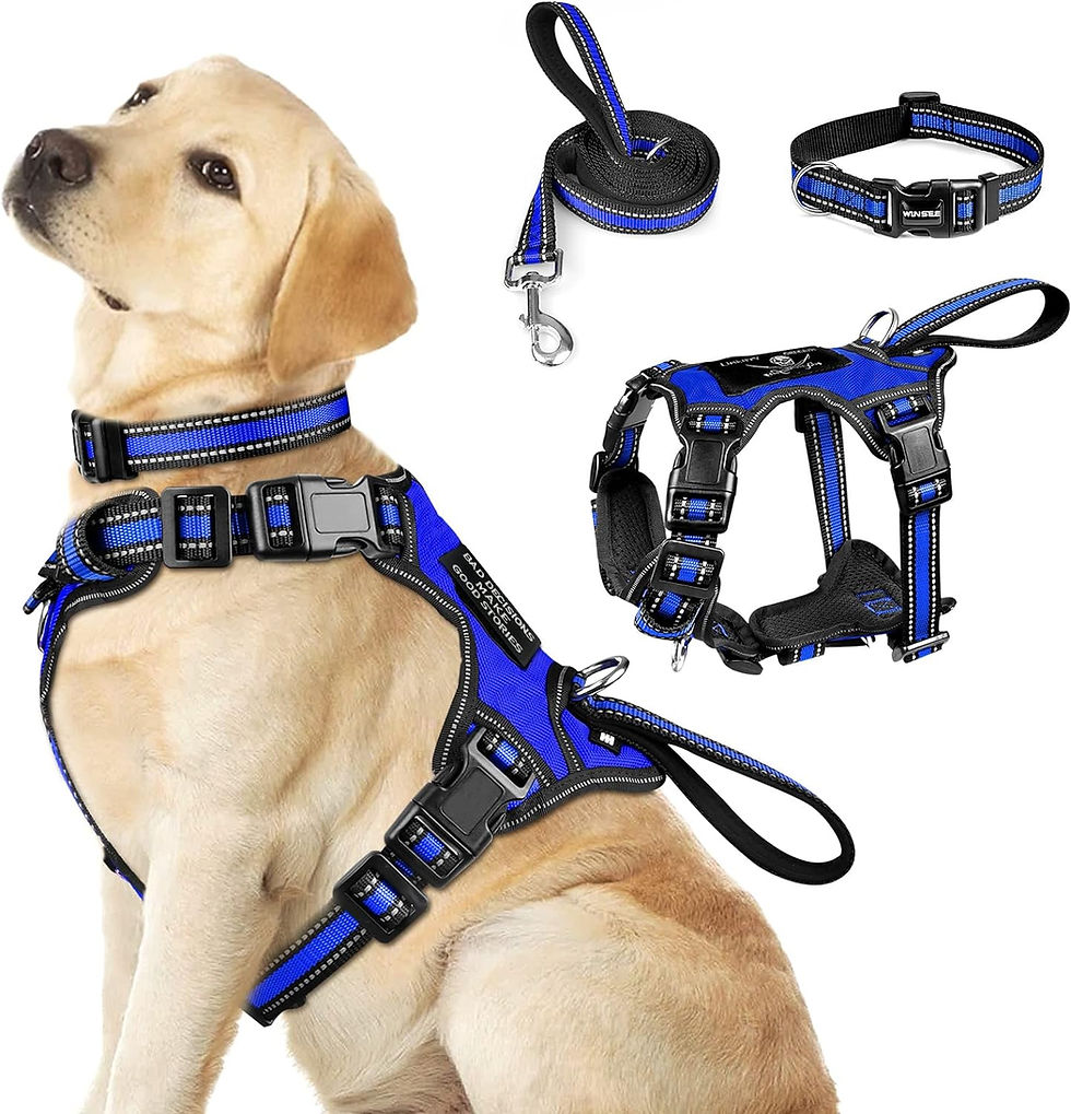 Thumbnail: WINSEE Pet Harness Collar and Leash Set, All-in-one Reflective Dog Harness No P