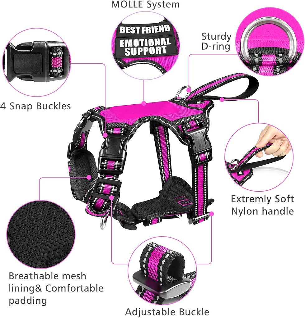 Miniature : WINSEE Pet Harness Collar and Leash Set, All-in-one Reflective Dog Harness No P