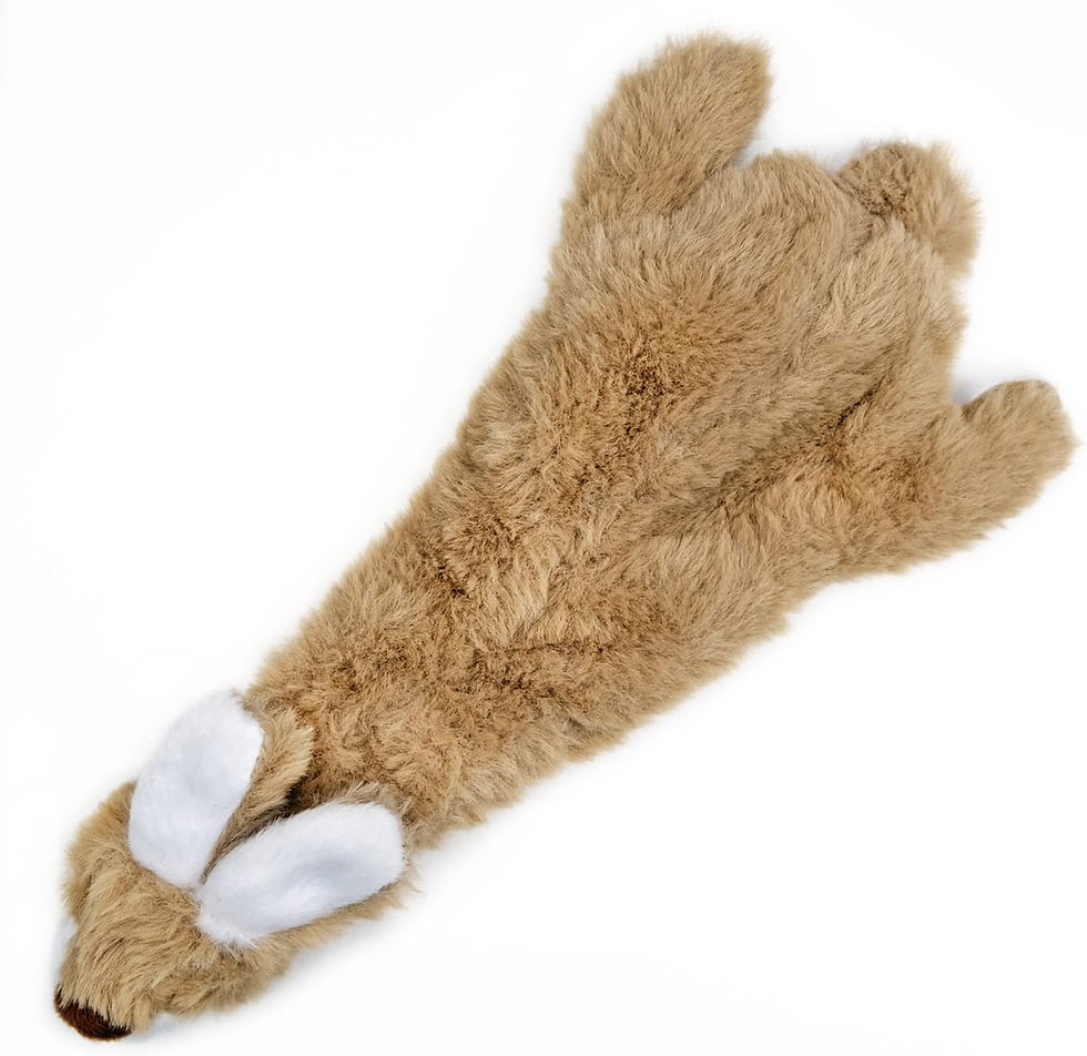 Miniature : Best Pet Supplies 2-in-1 Stuffless Squeaky Dog Toys with Soft, Durable Fabric f