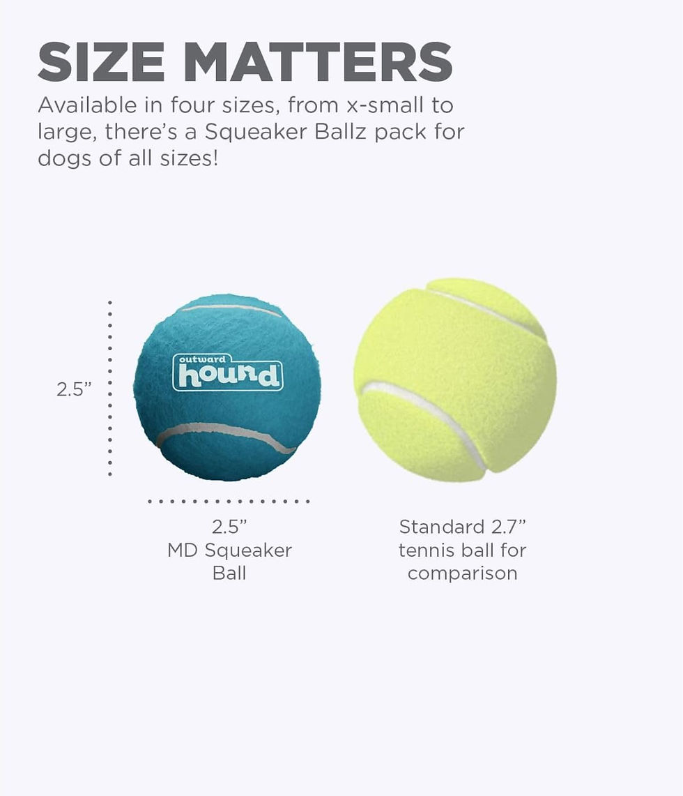 Miniature : Outward Hound Squeaker Ballz Fetch Dog Toy, Medium - 4 Pack